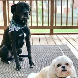 Meet your Posher, Ryan